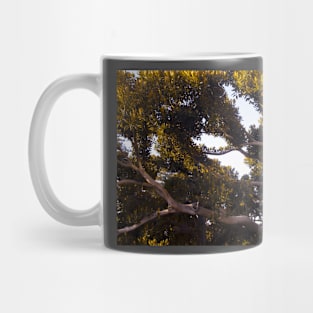 Magnolia Mug